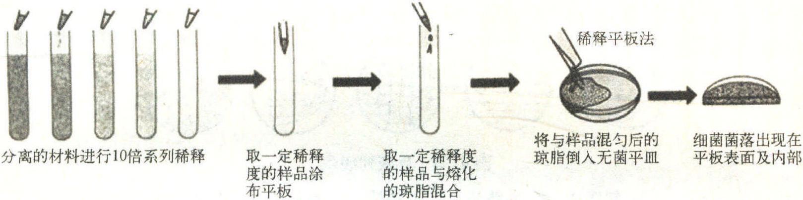 二、生物活菌剂的分离纯化方法